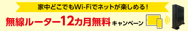 eo光Wi-Fi12カ月無料キャンペーン