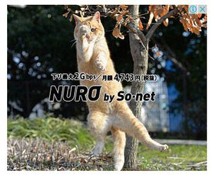 NURO光の猫広告１