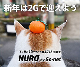 NURO光の猫広告１０