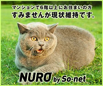 NURO光の広告バナー
