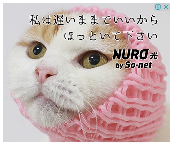 NURO光の猫広告８