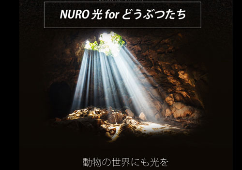 NURO光 for どうぶつたち